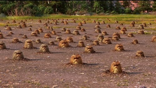 The Good Dinosaur - Chú Khủng Long Tốt Bụng - Hình 2