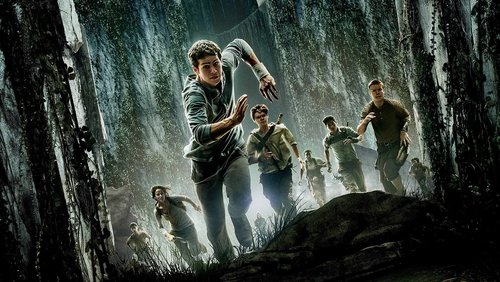 The Maze Runner - Giải Mã Mê Cung - Hình 4