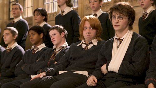 Harry Potter And The Goblet Of Fire - Harry Potter Và Chiếc Cốc Lửa - Hình 1