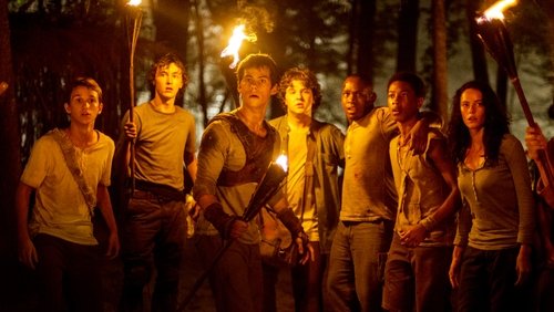 The Maze Runner - Giải Mã Mê Cung - Hình 5
