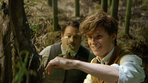 Fantastic Beasts And Where To Find Them - Sinh Vật Huyền Bí Và Nơi Tìm Ra Chúng - Hình 2