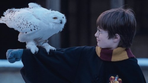 Harry Potter And The Sorcerer's Stone - Harry Potter Và Hòn Đá Phù thủy - Hình 2