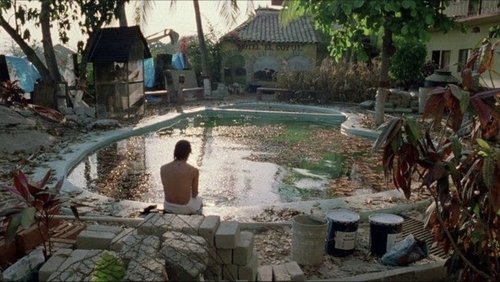 Y Tu Mamá También | And Your Mother Too - Vào Đời - Hình 5