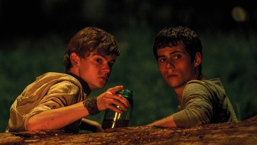 The Maze Runner - Giải Mã Mê Cung - Hình 2