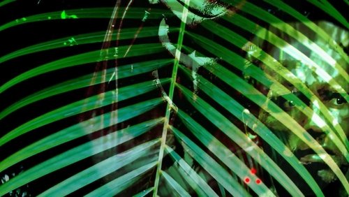 Predator - Quái Vật Vô Hình | Tiêu Diệt Ác Thú - Hình 4