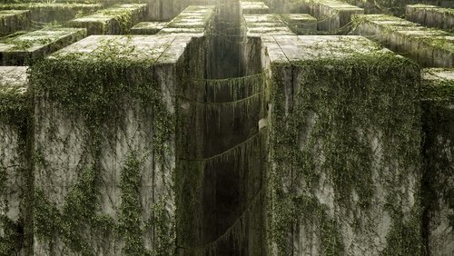 The Maze Runner - Giải Mã Mê Cung - Hình 3