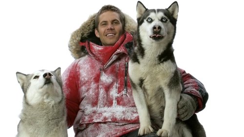 Eight Below - Âm Tám Độ - Hình 2