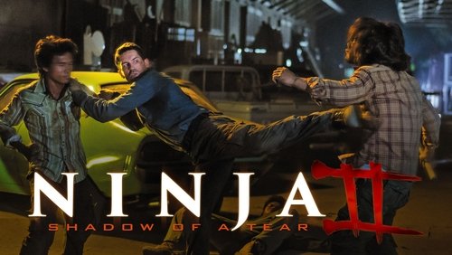 Ninja: Shadow of a Tear - Ninja 2: Ninja Báo Thù - Hình 2