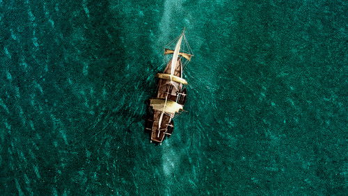 In the Heart of the Sea - Biển Sâu Dậy Sóng - Hình 3