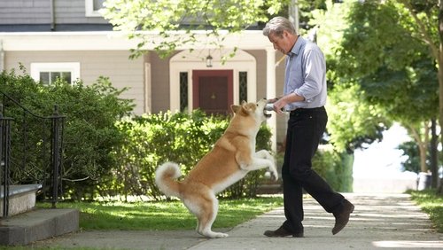 Hachi: A Dog's Tale - Hachiko Chú Chó Trung Thành - Hình 2