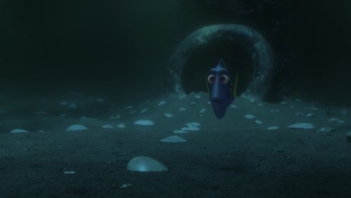 Finding Dory - Đi Tìm Dory - Hình 5