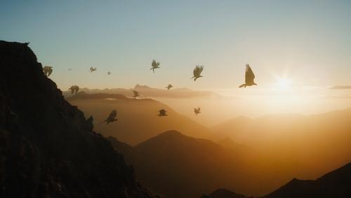 The Hobbit: An Unexpected Journey - Người Hobbit: Hành Trình Bất Ngờ - Hình 3