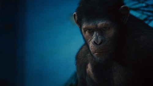 Rise of the Planet of the Apes - Sự Trỗi Dậy Của Hành Tinh Khỉ - Hình 2