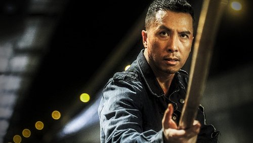 Kung Fu Jungle - Kế Hoạch Bí Ẩn - Hình 4