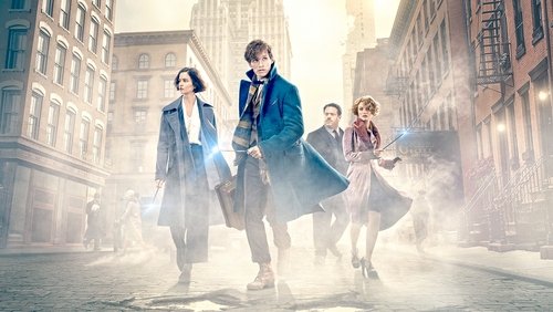 Fantastic Beasts And Where To Find Them - Sinh Vật Huyền Bí Và Nơi Tìm Ra Chúng - Hình 4