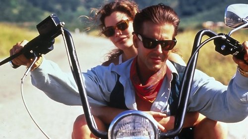 Wild Orchid - Hoa Lan Dại - Hình 1