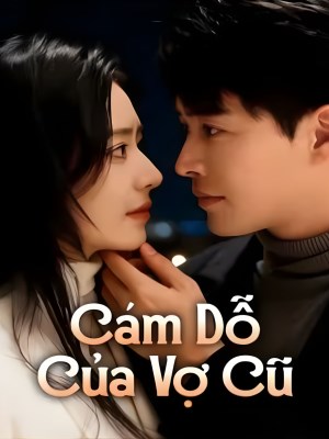 Cám Dỗ Của Vợ Cũ