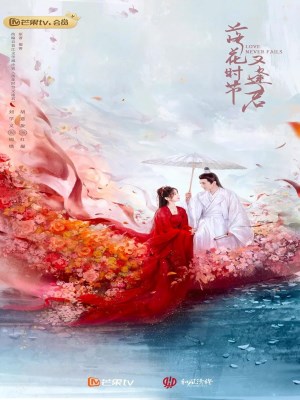 Xem phim Mùa Hoa Rơi Gặp Lại Chàng
