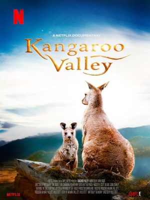 Thung Lũng kangaroo