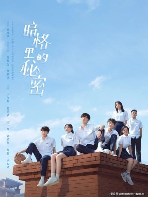 Xem phim Bí Mật Nơi Góc Tối online