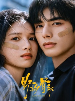 Xem phim Chó Hoang Và Xương